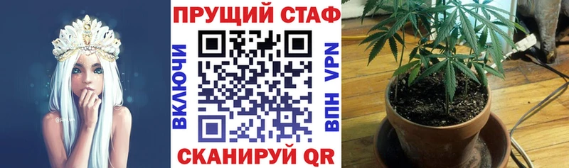 Какие есть наркотики Щёлкино Псилоцибиновые грибы  КОКАИН  Мефедрон  Бошки Шишки  APVP 