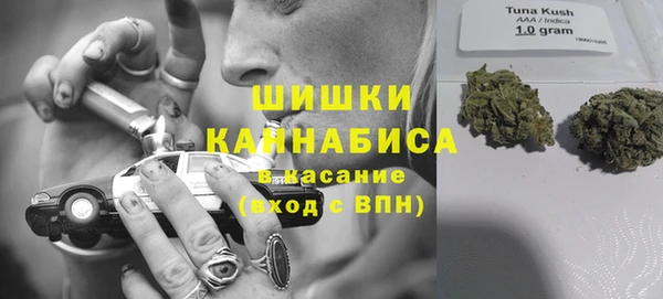 ГАЛЛЮЦИНОГЕННЫЕ ГРИБЫ Балахна