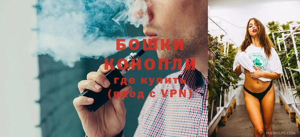 ГАЛЛЮЦИНОГЕННЫЕ ГРИБЫ Балахна
