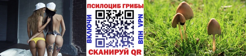 Псилоцибиновые грибы мицелий  продажа наркотиков  Щёлкино 
